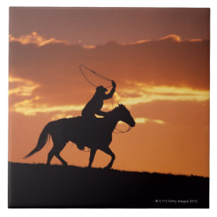 Silhouette of cowboy on horseback near Fairplay, Tile