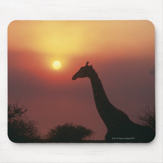 Silhouette of Giraffe (Giraffa Camelopardalis) Mouse Pad (Front)