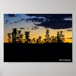 Silhouette of Leaves at Night Poster