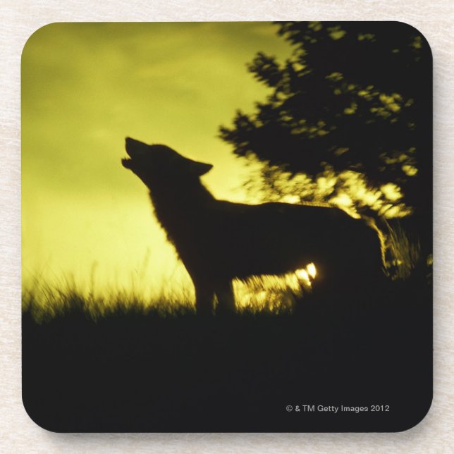 Silhouette of wolf howling coaster (Front)