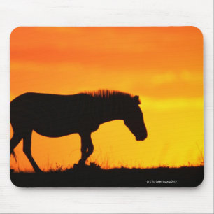 Silhouette of zebra on savanna mouse pad