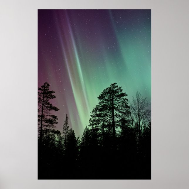 SILHOUETTE PHOTO OF AURORA BOREALIS POSTER (Front)