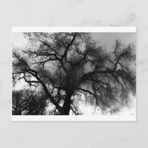 Silhouette Postcard