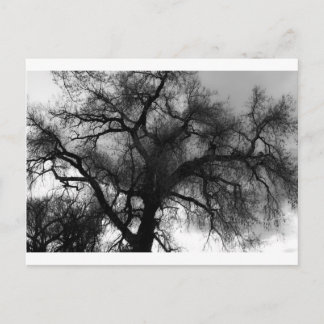 Silhouette Postcard