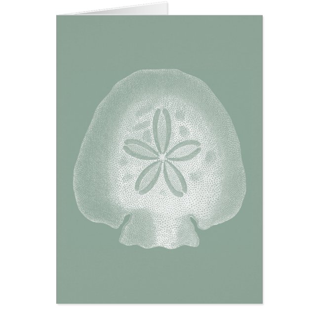 Silhouette Sand Dollar (Front)