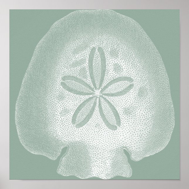 Silhouette Sand Dollar Poster (Front)