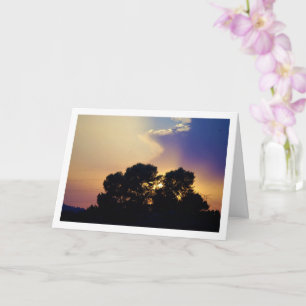 Silhouette Tree Landscape Card
