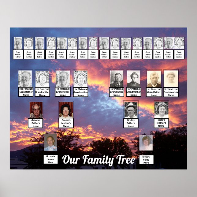 Silhouette Trees Sunset Photo Family Trees Poster (Front)
