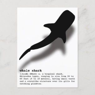 Silhouette Whale Shark with Definition Beach Postcard
