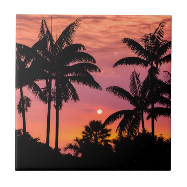 Silhouetted palm trees, Hawaii Tile (Front)