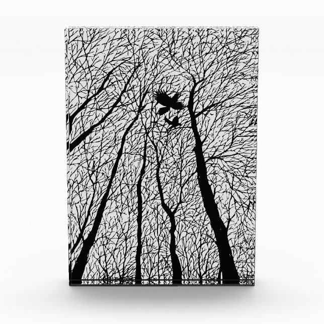 Silhouetted Ravens in the Winter Trees Photo Block (Front)