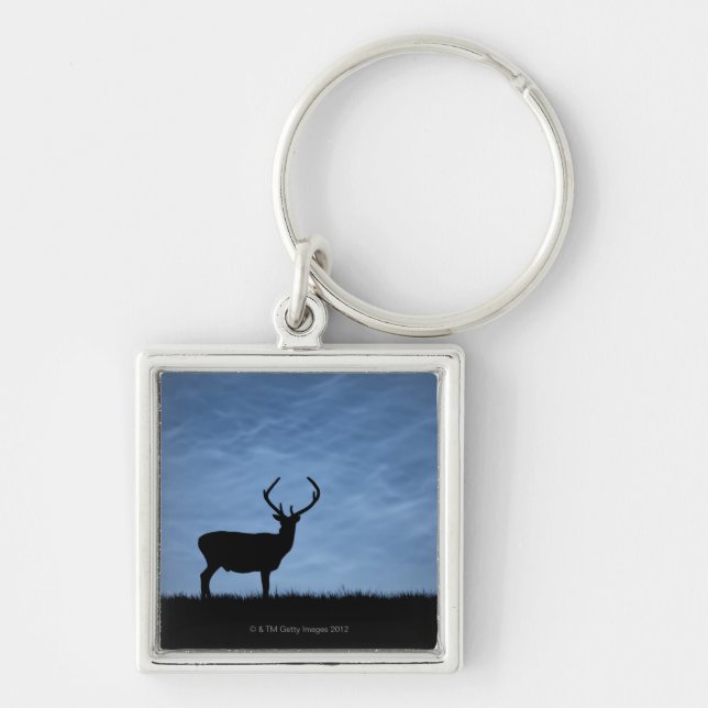 Silhouetted Red Deer Stag at Night Key Ring (Front)