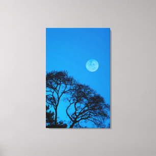 Silhouetted trees and full moon canvas print