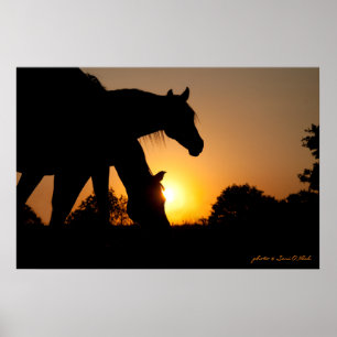 Silhouettes of Two Horses at Sunrise Poster