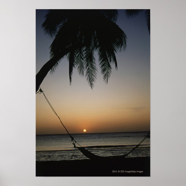Silhuetted empty hammock at sunset poster (Front)
