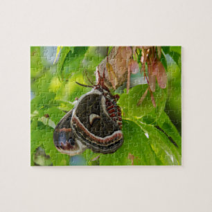 Silk Moth Jigsaw Puzzle