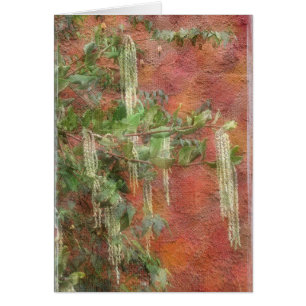 Silk Tassel Tree - Card