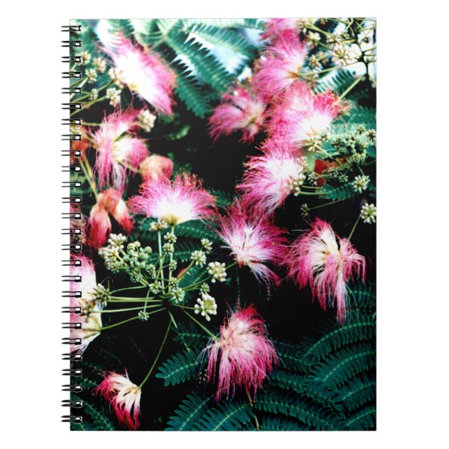 Silk Tree Notebook (Front)
