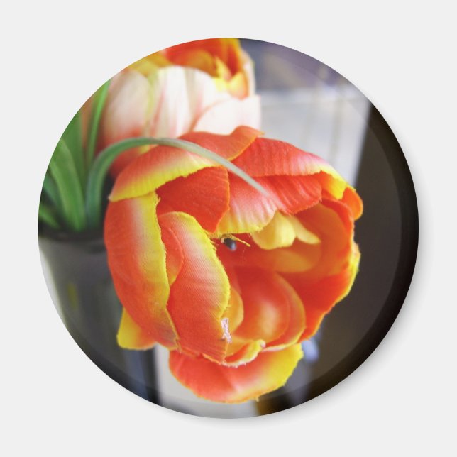 Silk Tulip Magnet (Front)