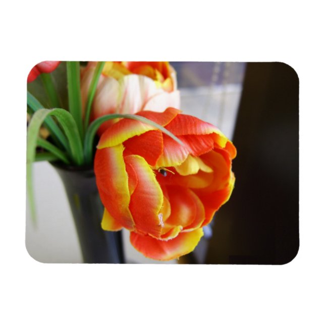 Silk Tulip Magnet (Horizontal)