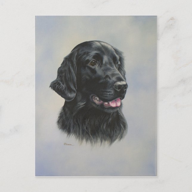 Silka Postcard (Front)