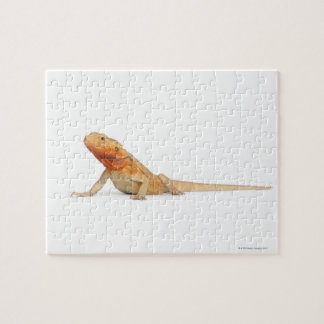 SilkBacks scaleless Bearded Dragon - Pogona Jigsaw Puzzle