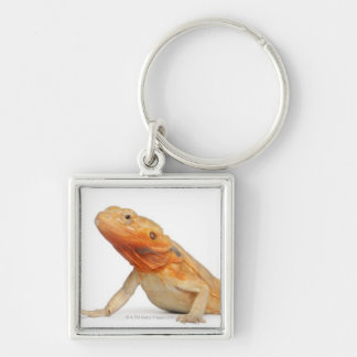 SilkBacks scaleless Bearded Dragon - Pogona Key Ring