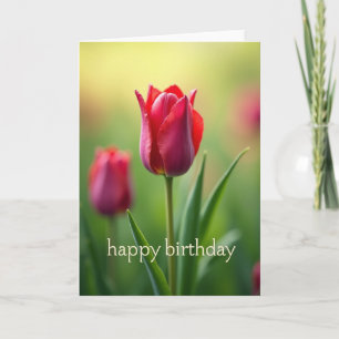 Silken Sheen Birthday Card