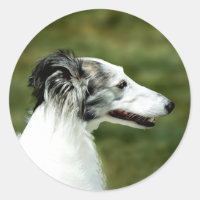 Silken Windhound A