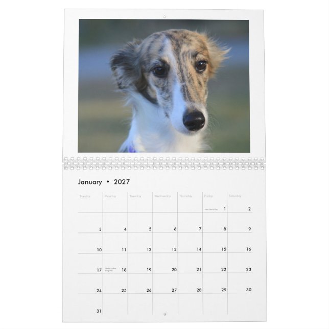 Silken Windhound Puppies 2013 Calendar (Jan 2027)