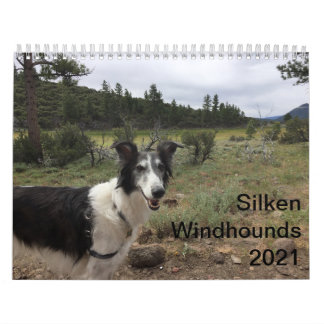 Silken Windhounds 2021 Adults 1 Calendar