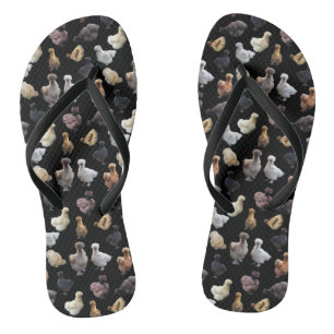 Silkie Bantam Chickens Jandals