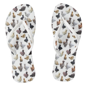 Silkie Bantam Chickens Jandals