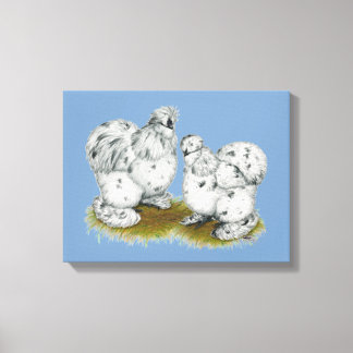 Silkie Bantam Splash Chickens Canvas Print