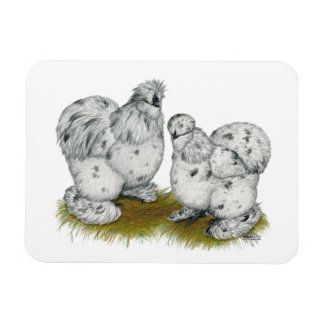 Silkie Bantam Splash Chickens Magnet