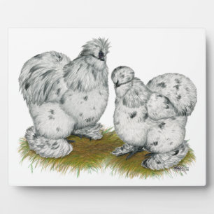 Silkie Bantam Splash Chickens Plaque