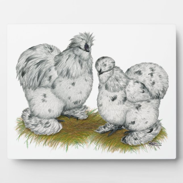 Silkie Bantam Splash Chickens Plaque (Front)