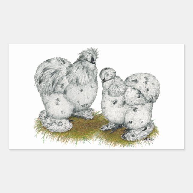 Silkie Bantam Splash Chickens Rectangular Sticker (Front)