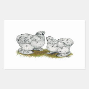 Silkie Bantam Splash Chickens Rectangular Sticker