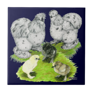 Silkie Bantam Splash Family Tile