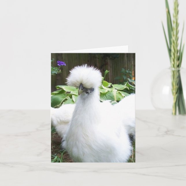 silkie chicken greeting card (Front)
