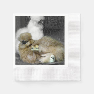 Silkie Hens with Chicks Peeking out of Feathers Napkin