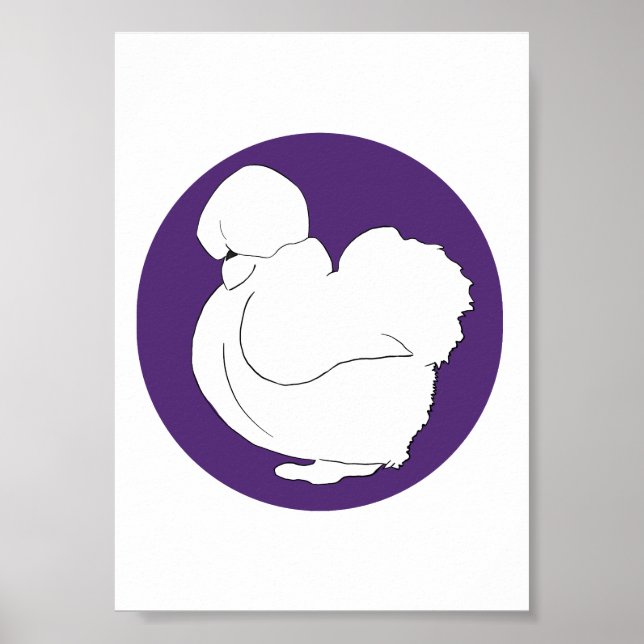Silkie Poster (Front)