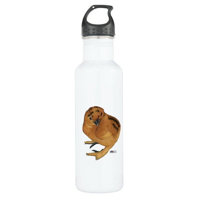 Silkie Red Chick 710 Ml Water Bottle (Front)