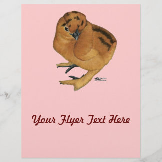 Silkie Red Chick Flyer