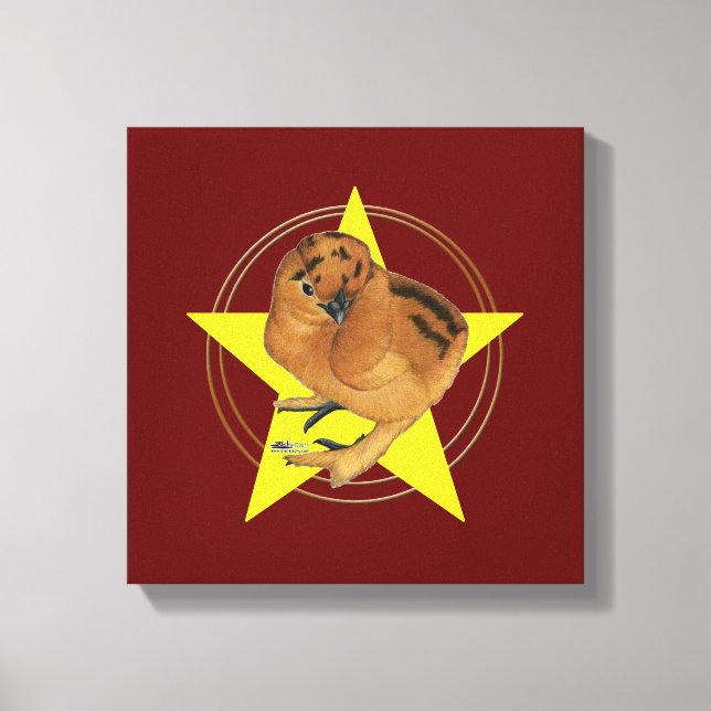 Silkie Red Chick Star Canvas Print (Front)