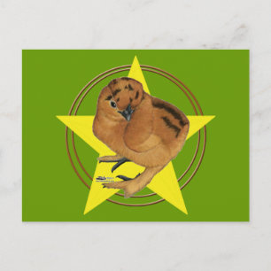 Silkie Red Chick Star Postcard