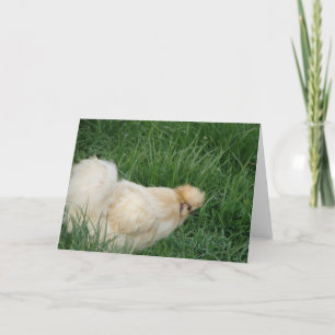 Silkie Rooster Card