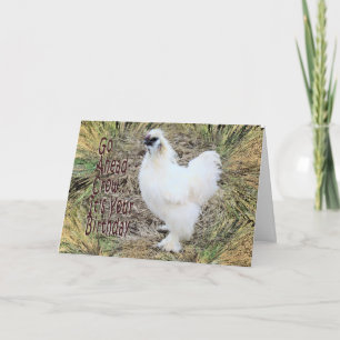 Silkie Rooster card
