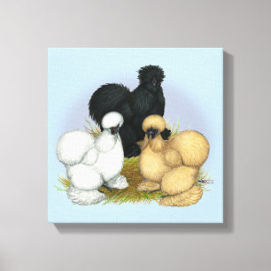 Silkie Trio Canvas Print